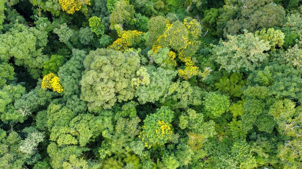 Rénovation d'ampleur : transformer son logement pour un confort durable